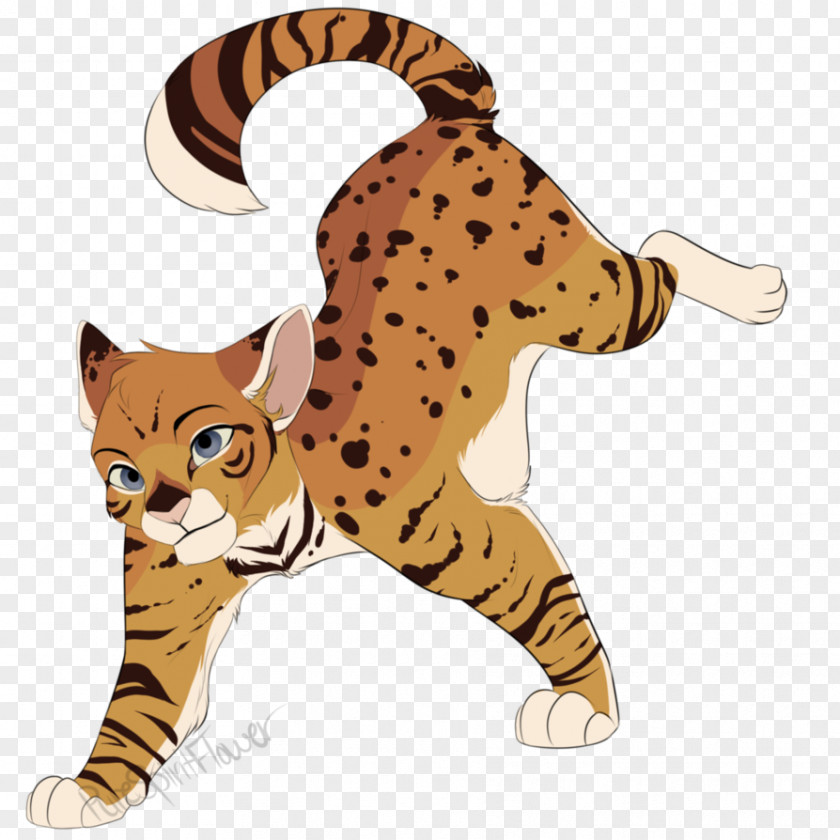 Cat Whiskers Tiger Warriors Art PNG
