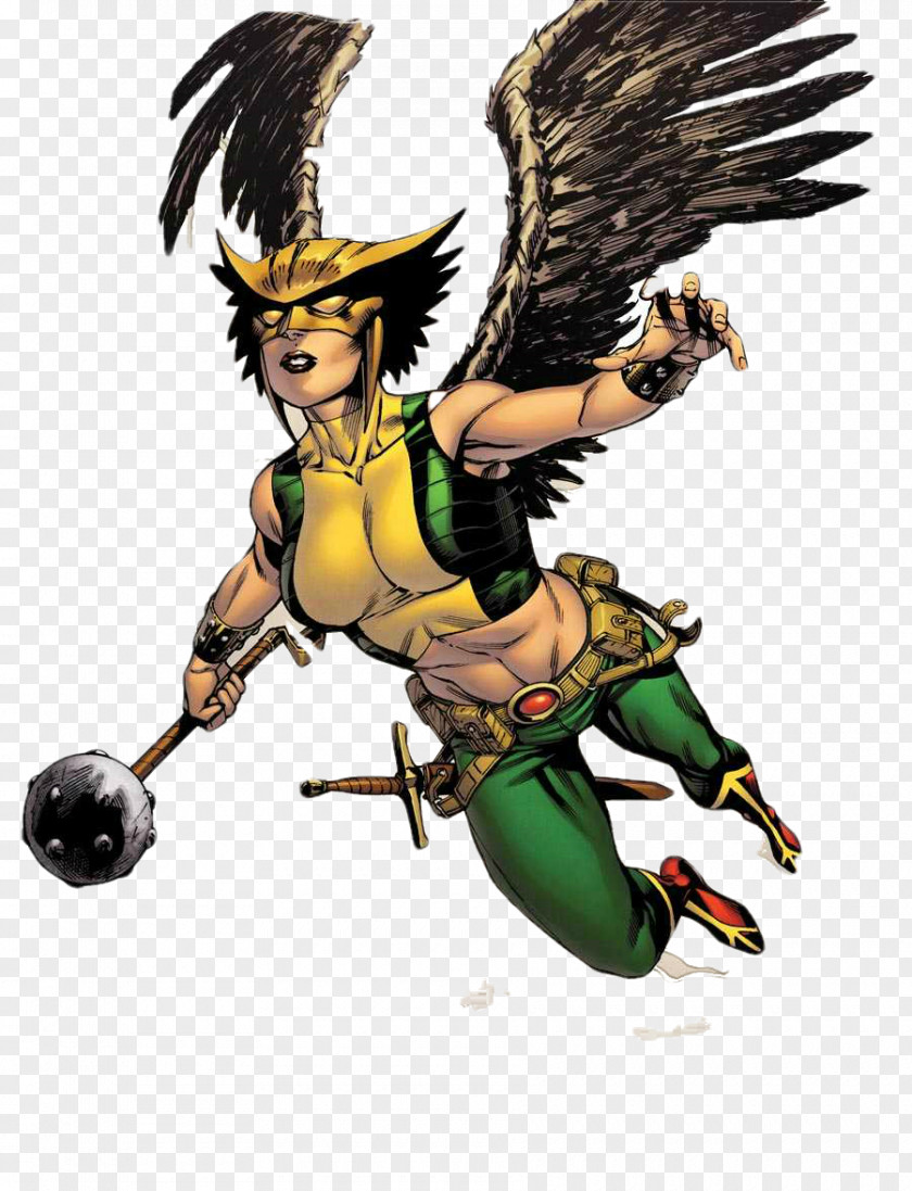 Hawkgirl File Hawkman (Katar Hol) Batman Superhero PNG