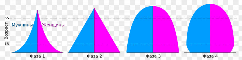 Demographic Transition Population Pyramid World Mortality Rate Demography PNG