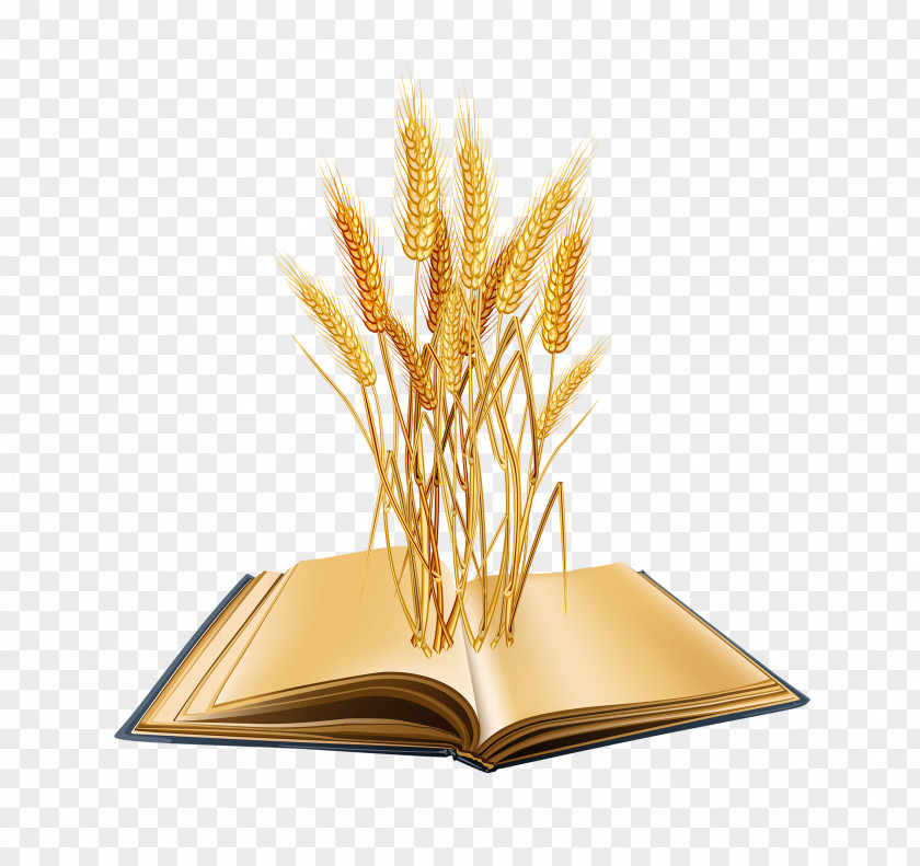 Ear Cereal Wheat Berry PNG berry , ear clipart PNG