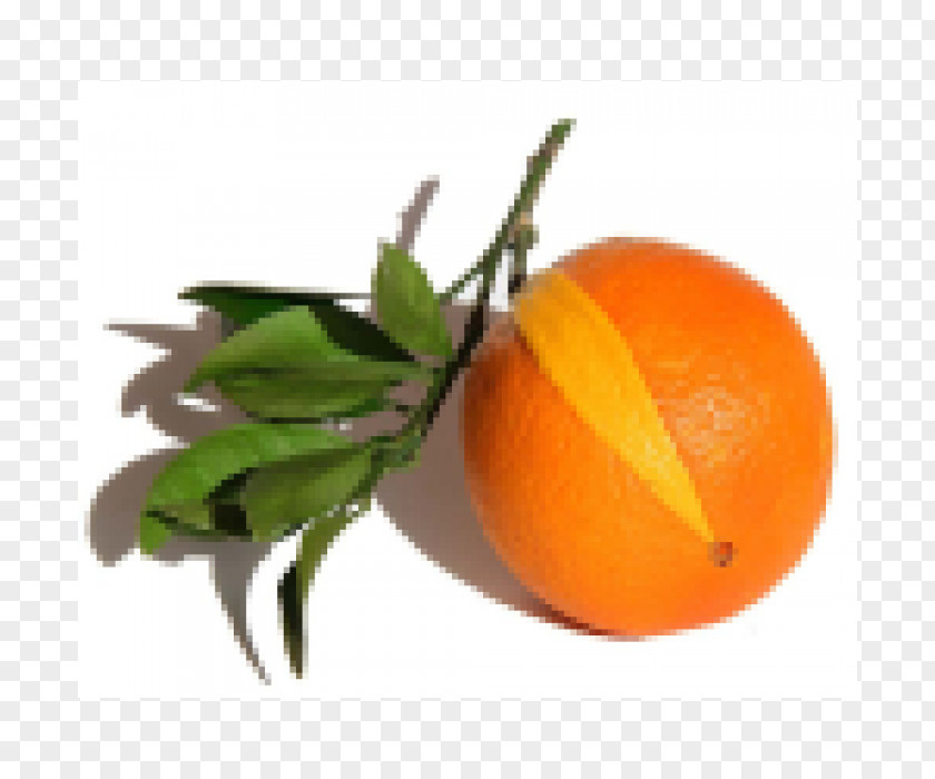 Orange Clementine Bitter Tangerine Mandarin PNG