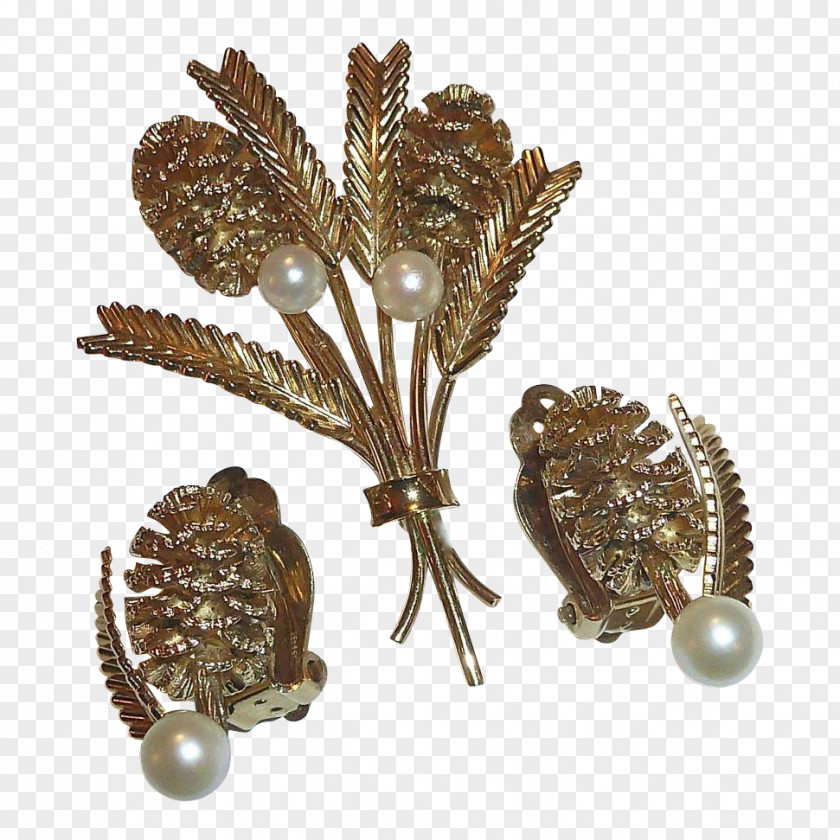 Pine Cone Jewellery Brooch PNG