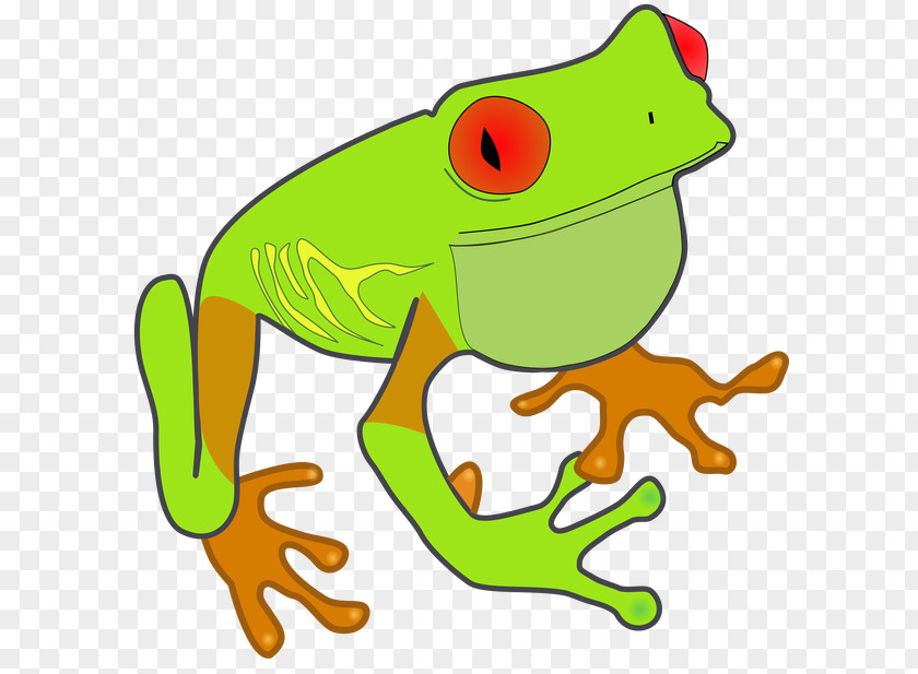 Raster True Frog Bitmap Clip Art PNG