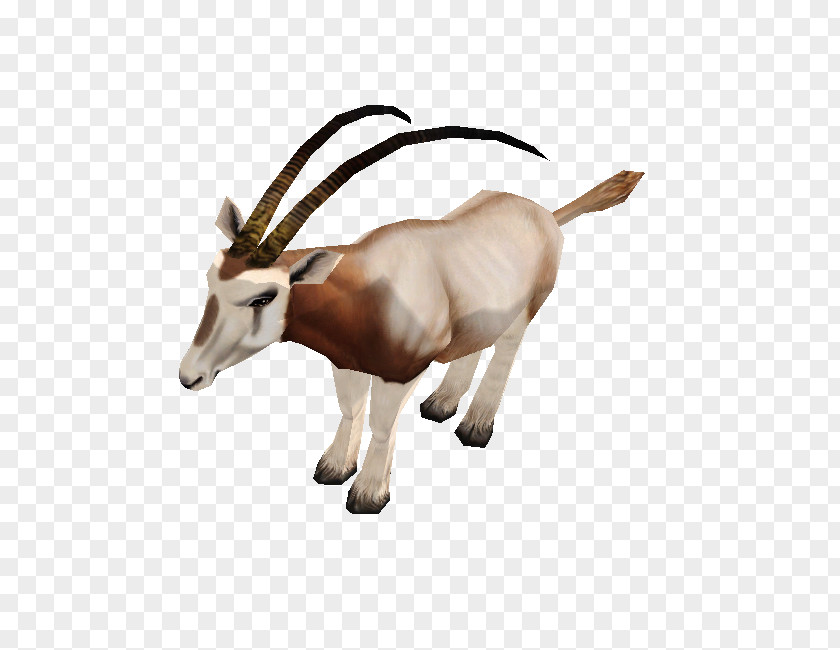 Safari Zoo Tycoon 2 Gemsbok Scimitar Oryx Video Games PNG