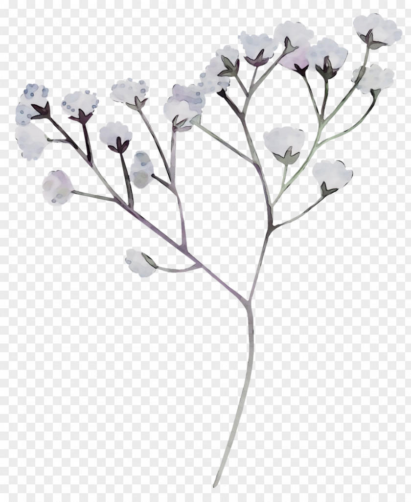 Twig Cut Flowers Floral Design Rose Family /m/02csf PNG
