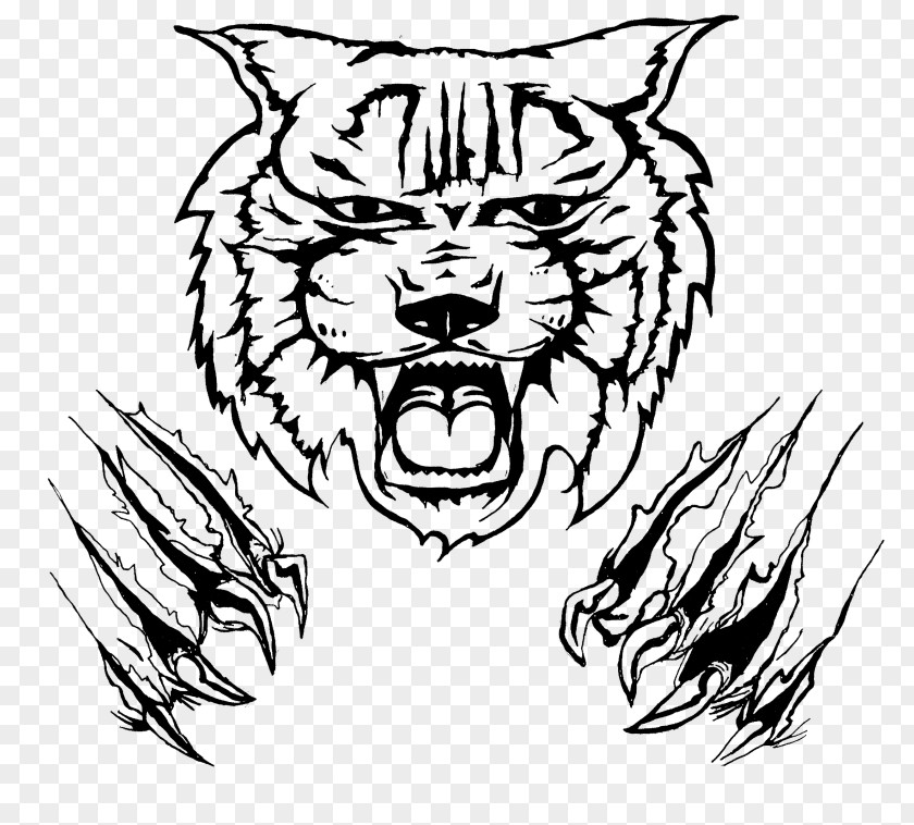 Design Kentucky Wildcats Football Logo Clip Art PNG