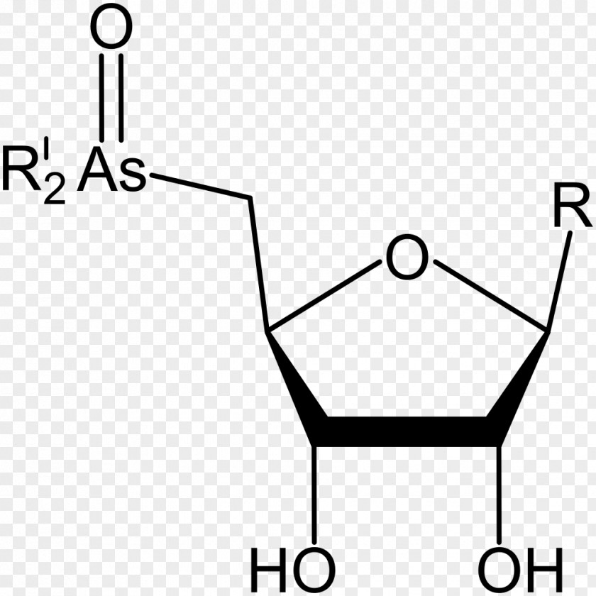 Oars Caprylic Acid S-Adenosyl Methionine Glucaric PNG