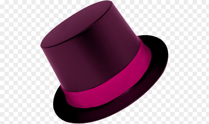 Purple Hat Top PNG