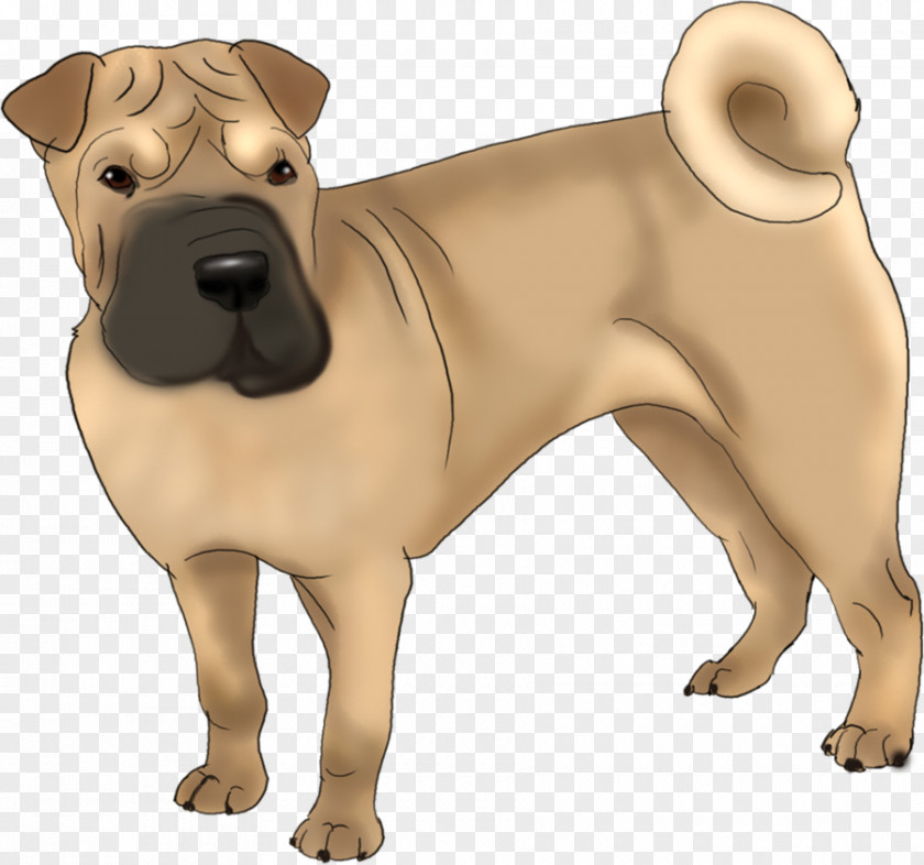 Shar Pei Pug Ancient Dog Breeds Companion PNG