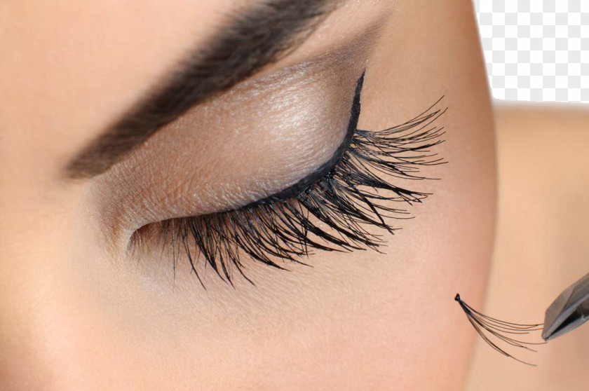 Eyebrow Makeup Beauty Eyelash Extensions Parlour Cosmetics Artificial Hair Integrations PNG
