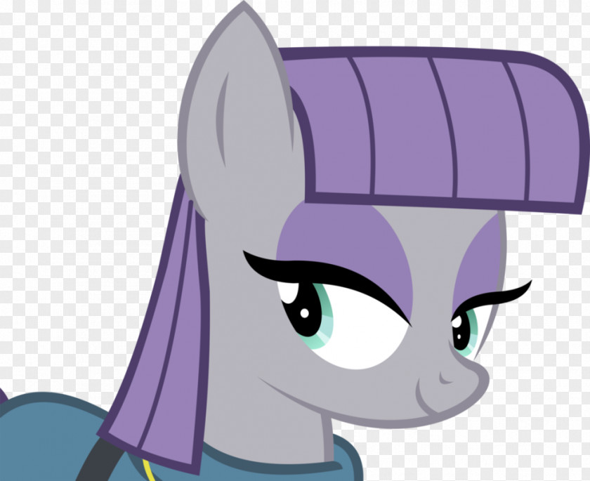 Gift Of Maud Pie Pinkie Rarity Twilight Sparkle Applejack Pony PNG