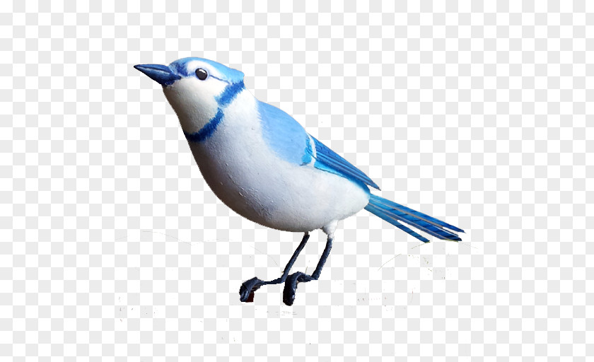 Handmade Songbird European Robin PNG