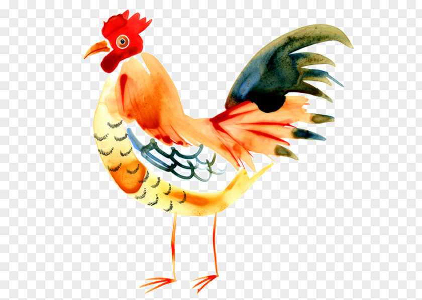 Chicken Rooster Throw Pillows Hen PNG