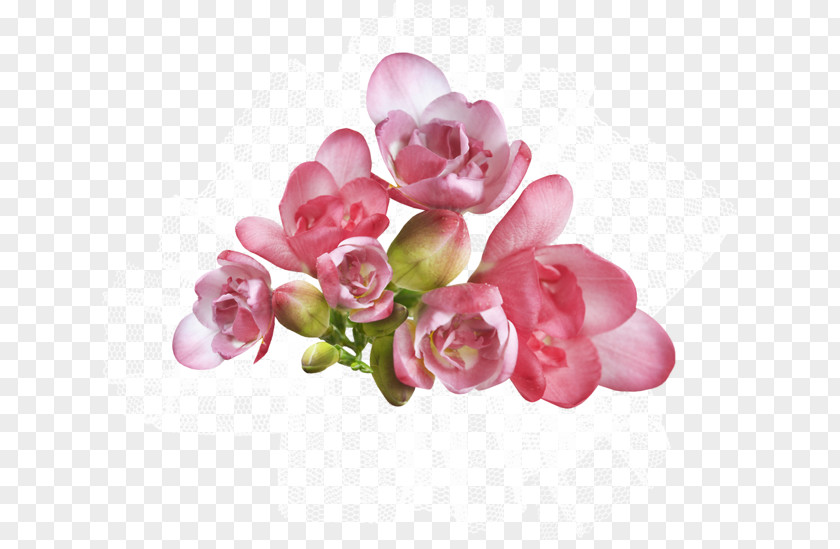 Flower Cut Flowers Petal Floral Design Artificial PNG