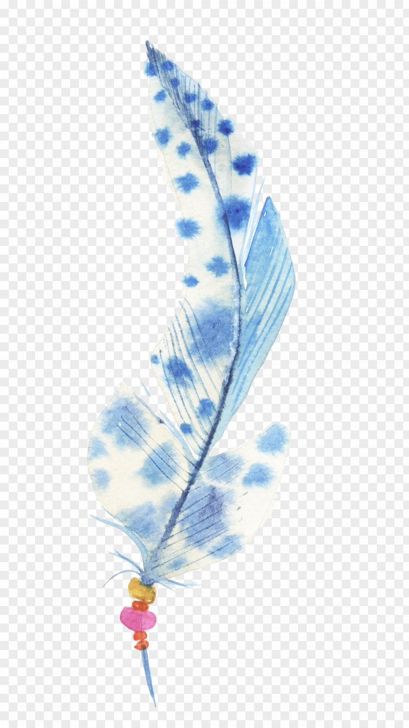Hand-painted Feathers Feather PNG