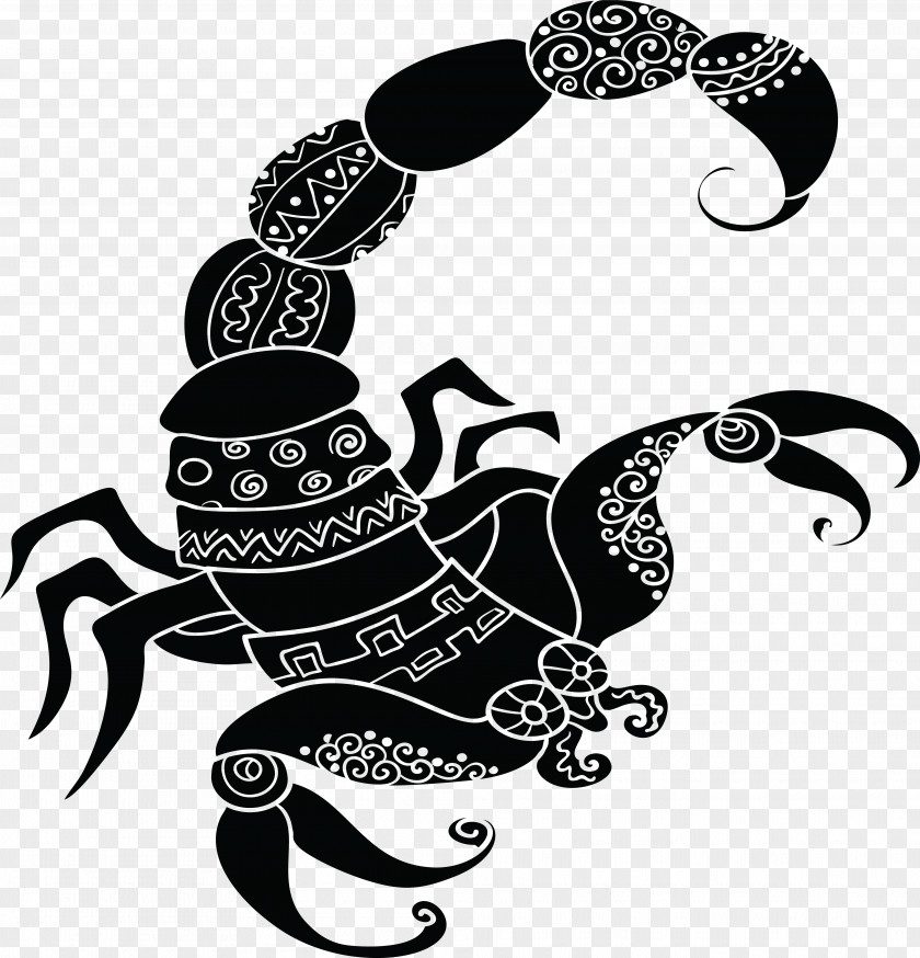 Scorpion Clip Art Zodiac Openclipart PNG
