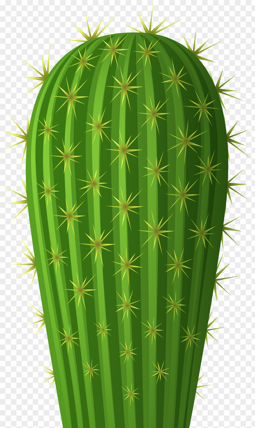 Cactus Clip Art Image Transparency PNG