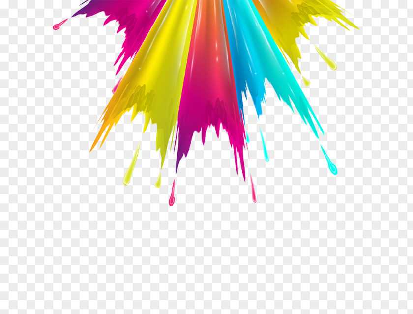 Design Splash Color PNG