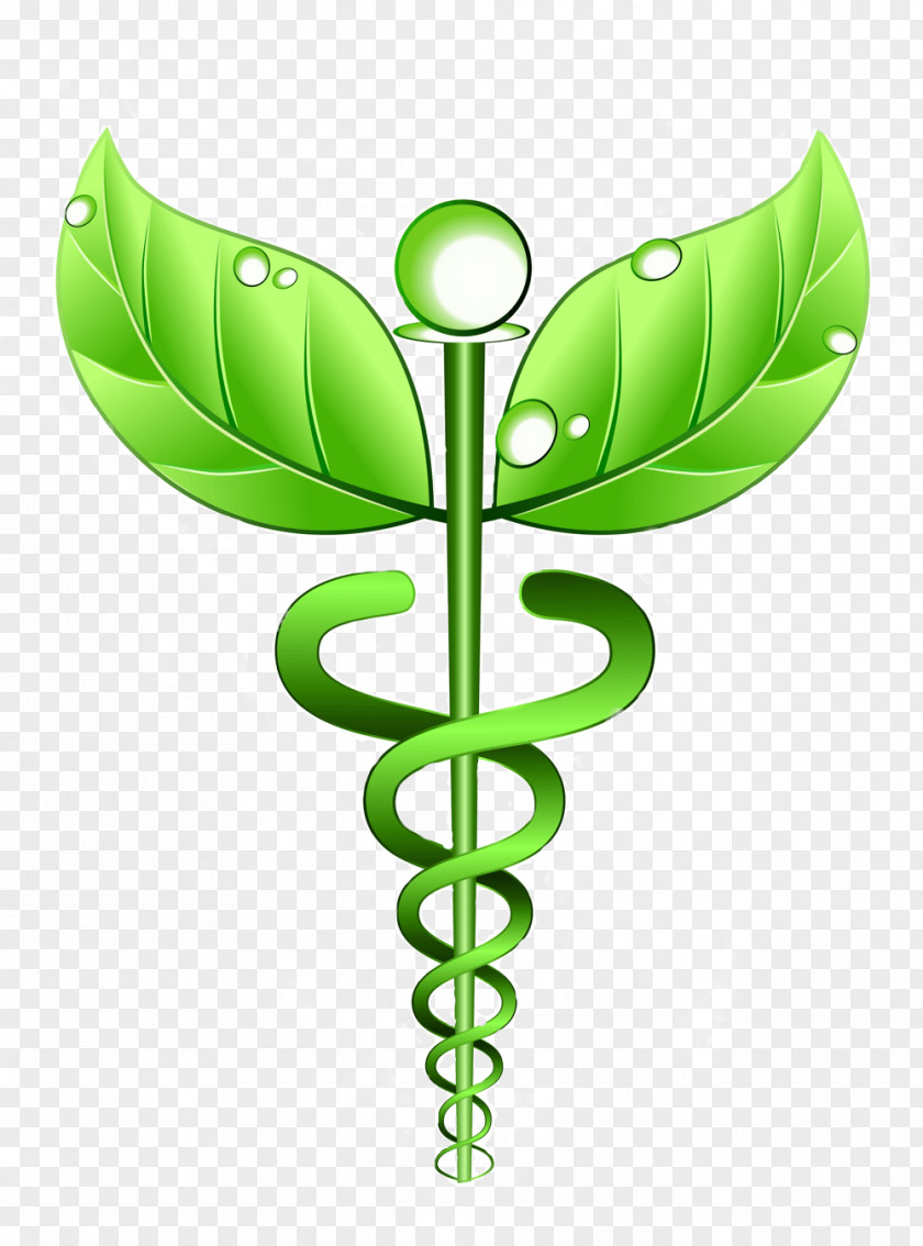 Health Alternative Services Medicine Homeopathy Therapy Naturopathy PNG