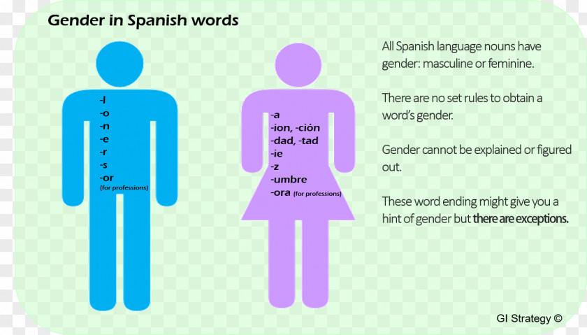 Spanish Language Gender Symbol Semiotics Pictogram PNG