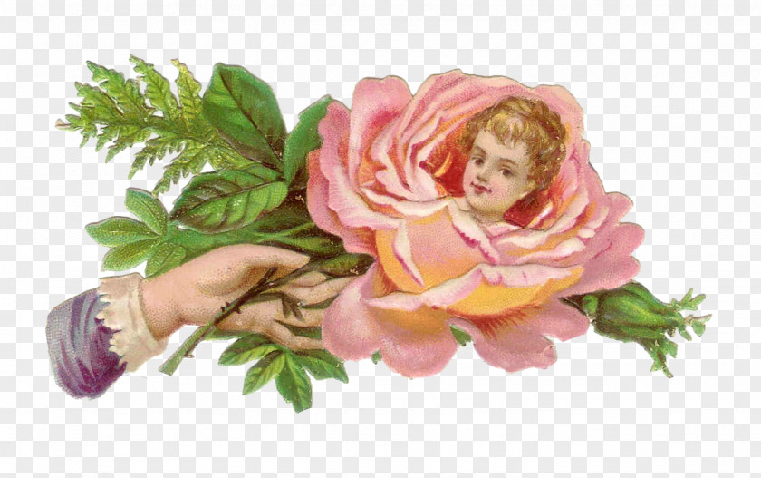 Victorian Flower Rose Hand Clip Art PNG