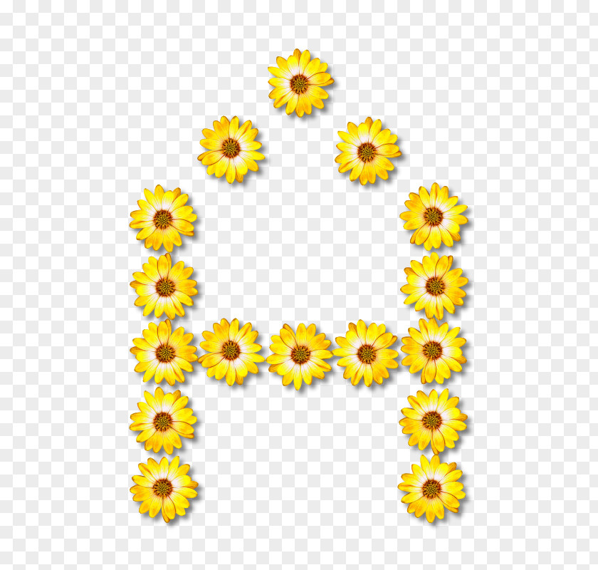 Alphabet Flower Floral Design Letter U PNG