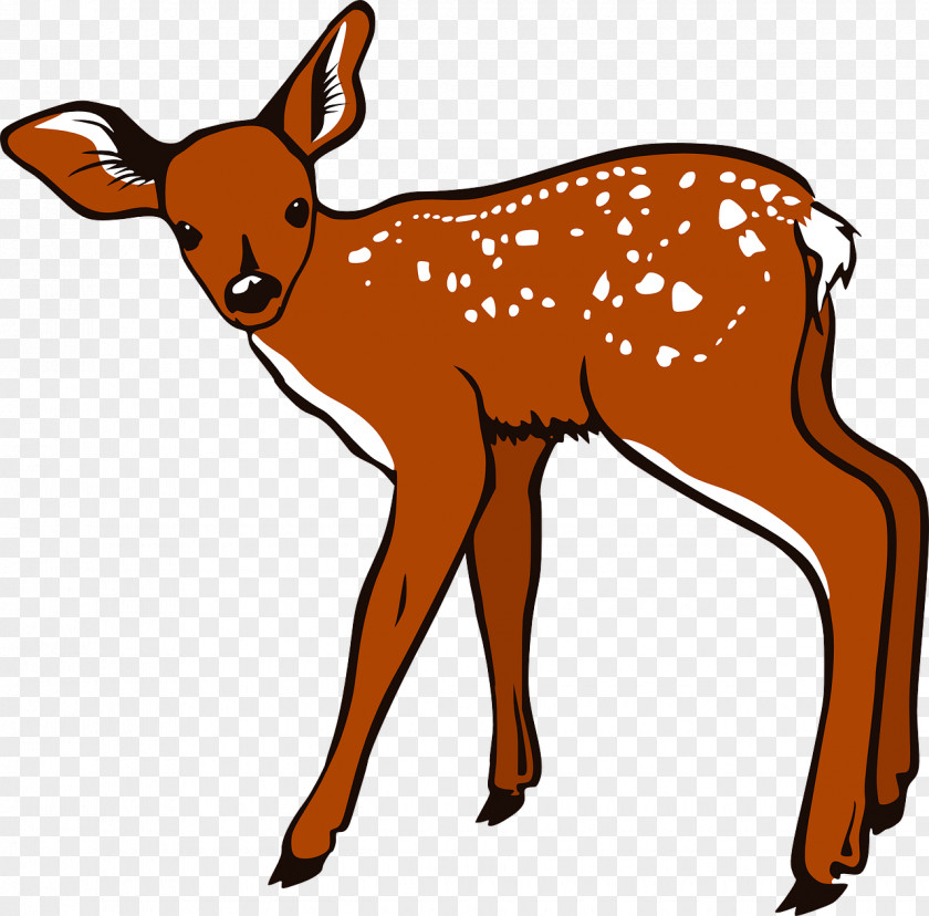 Brown Deer Mammal Download Clip Art PNG