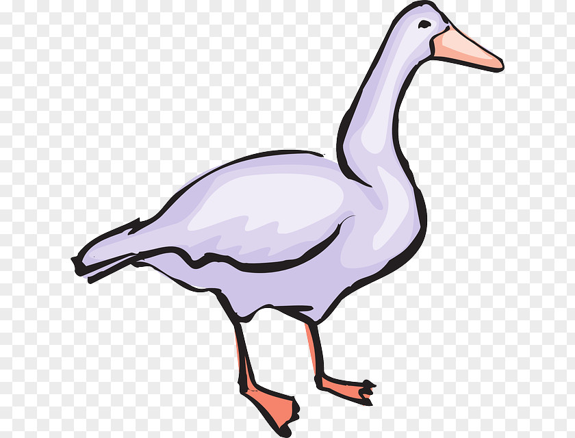 Classic Design Sketch Goose Bird Clip Art PNG