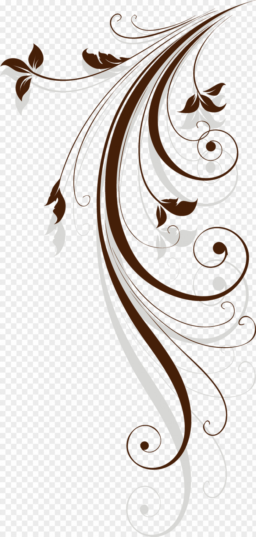 Lace PNG clipart PNG