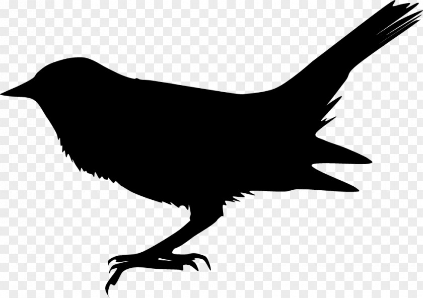 Silhouette Blackbird The Beatles Song PNG