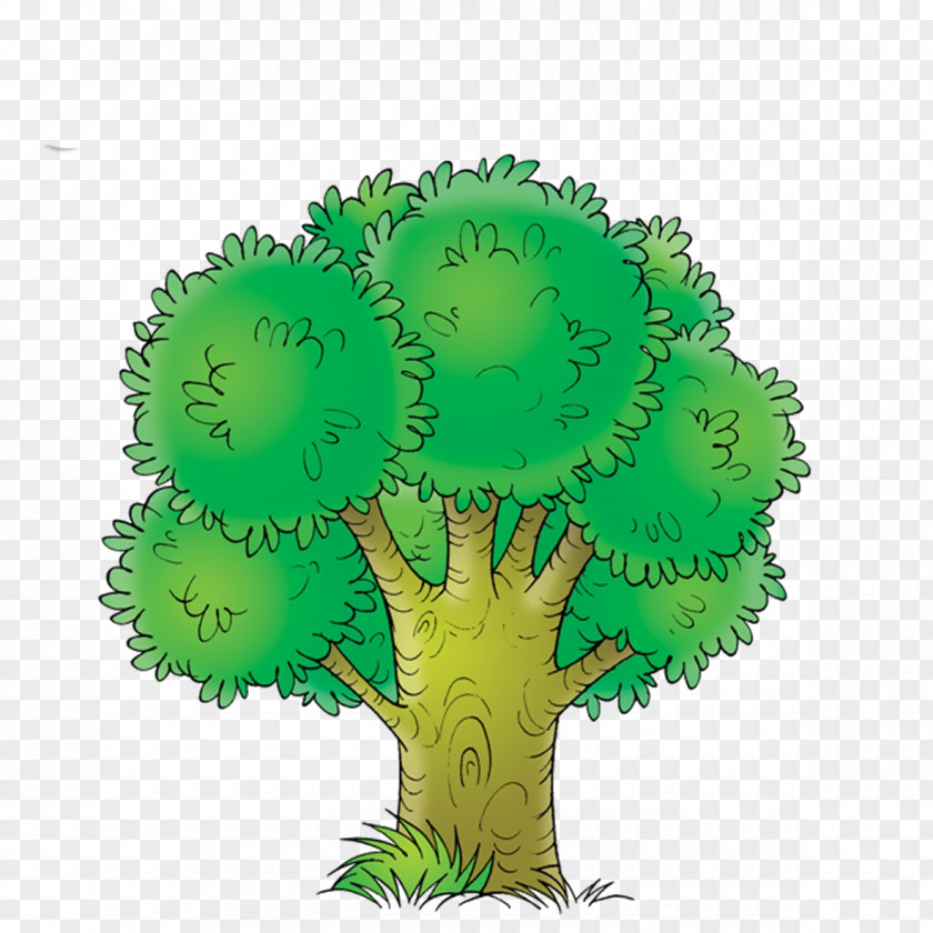 TINKERBELL Tree Of Life Drawing Oak PNG