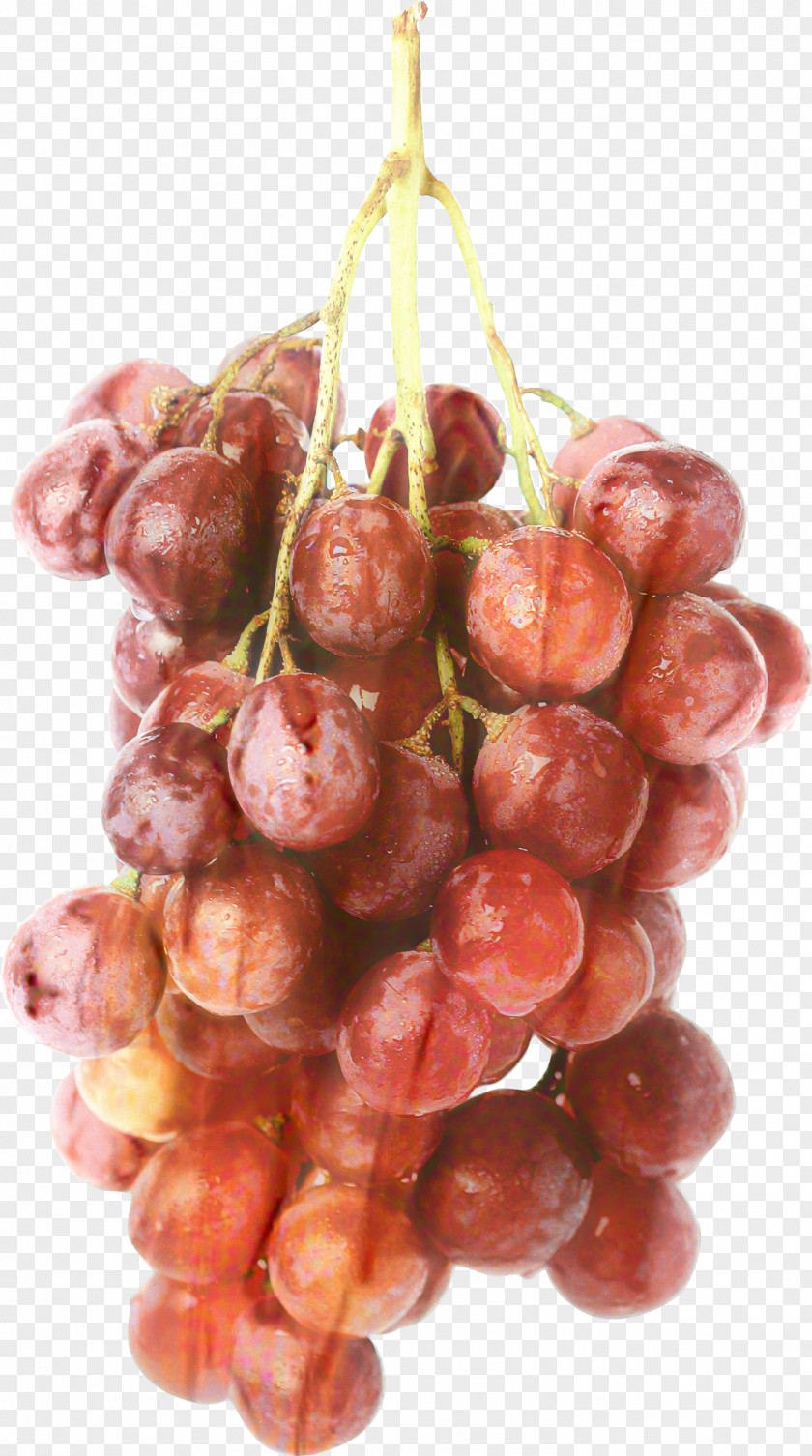 Vitis Plant Grape Cartoon PNG