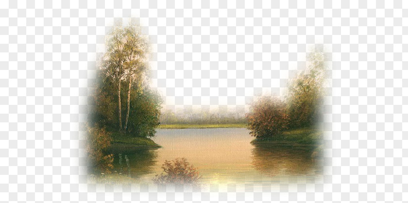 Water Resources Wetland Character Desktop Wallpaper PNG