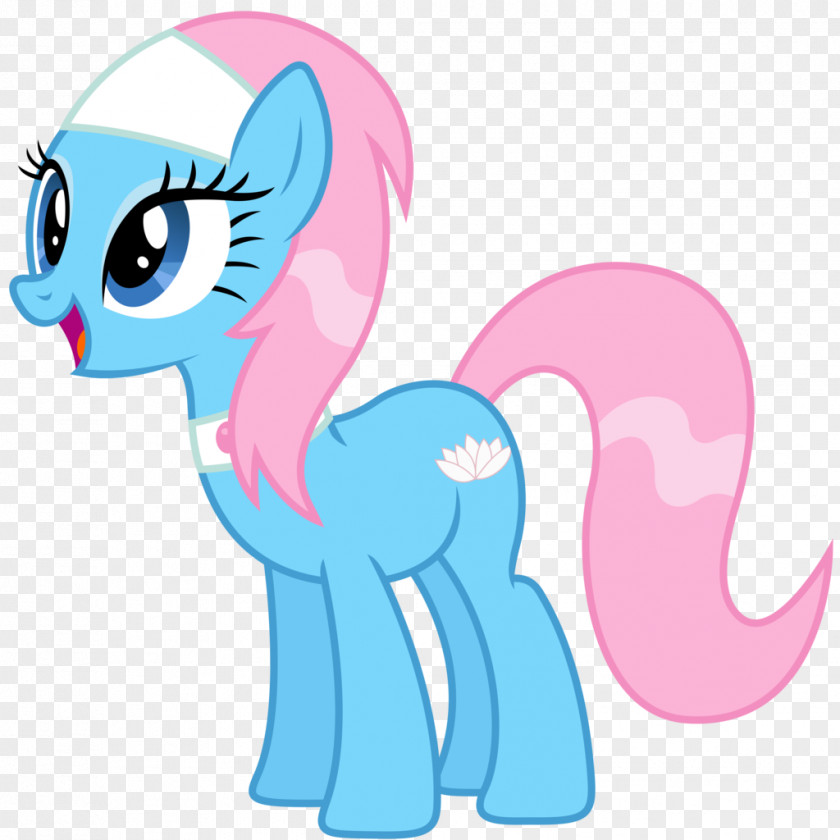 Aloe Vector Rainbow Dash Pony Applejack Pinkie Pie Rarity PNG