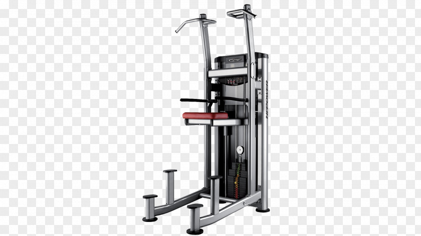 Bodybuilding Pull-up Dip Physical Fitness Bench PNG