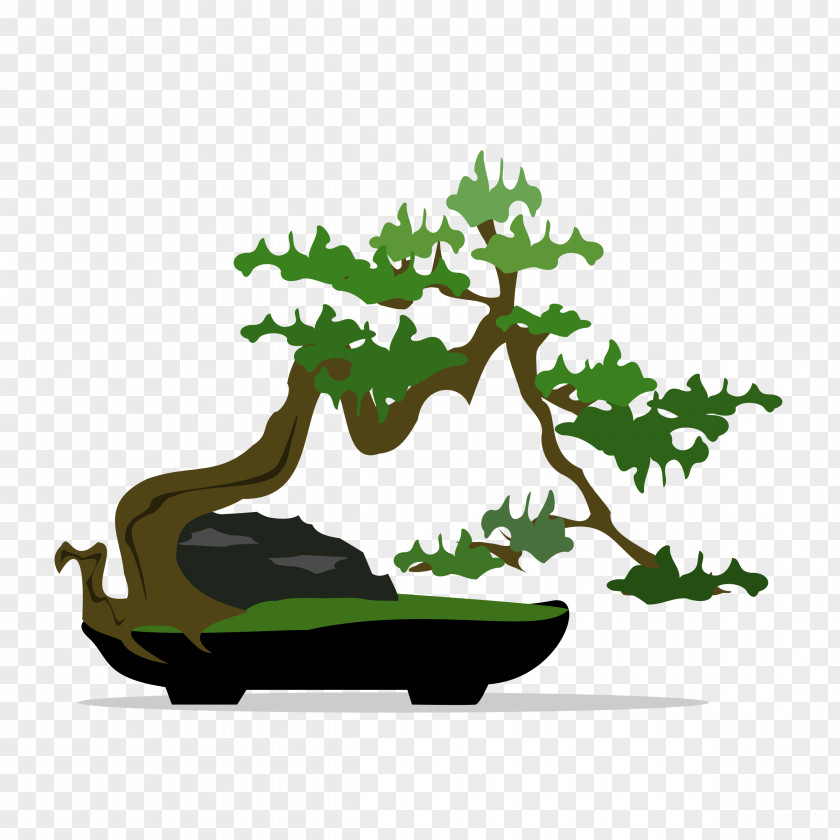 Bonsai Clip Art PNG