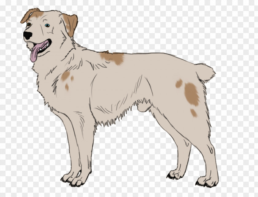 Dog Angry Breed Akbash Sporting Group Retriever Companion PNG