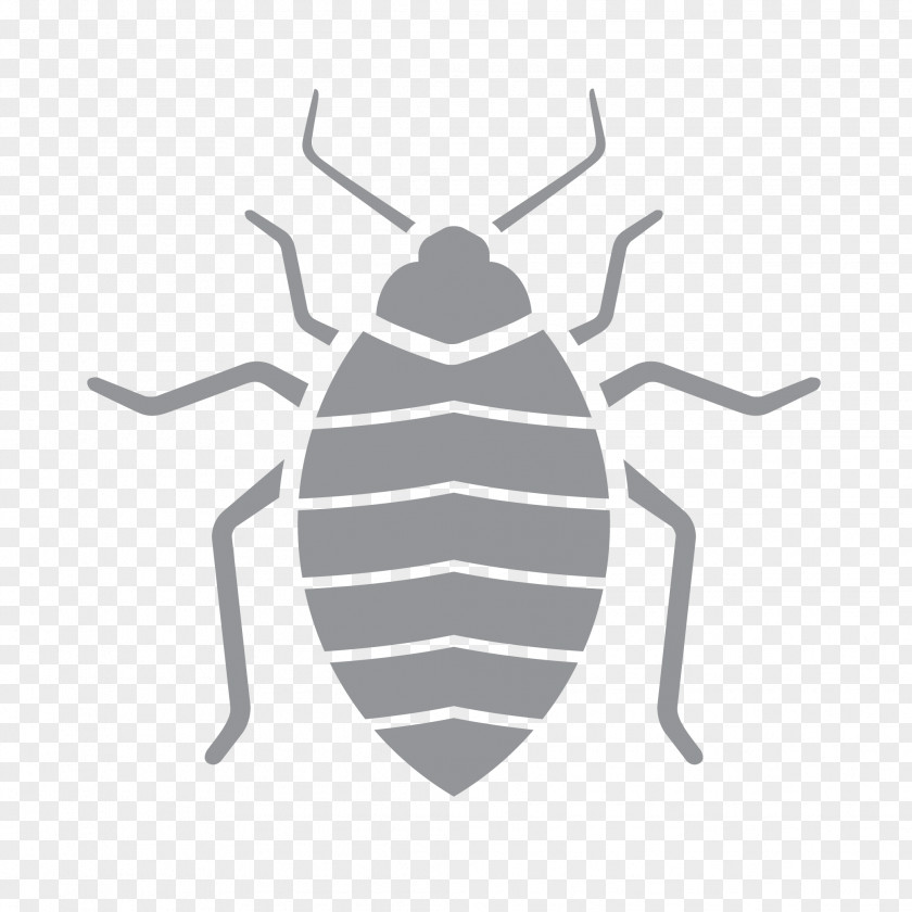 Insect Pest Control Exterminator Termite PNG