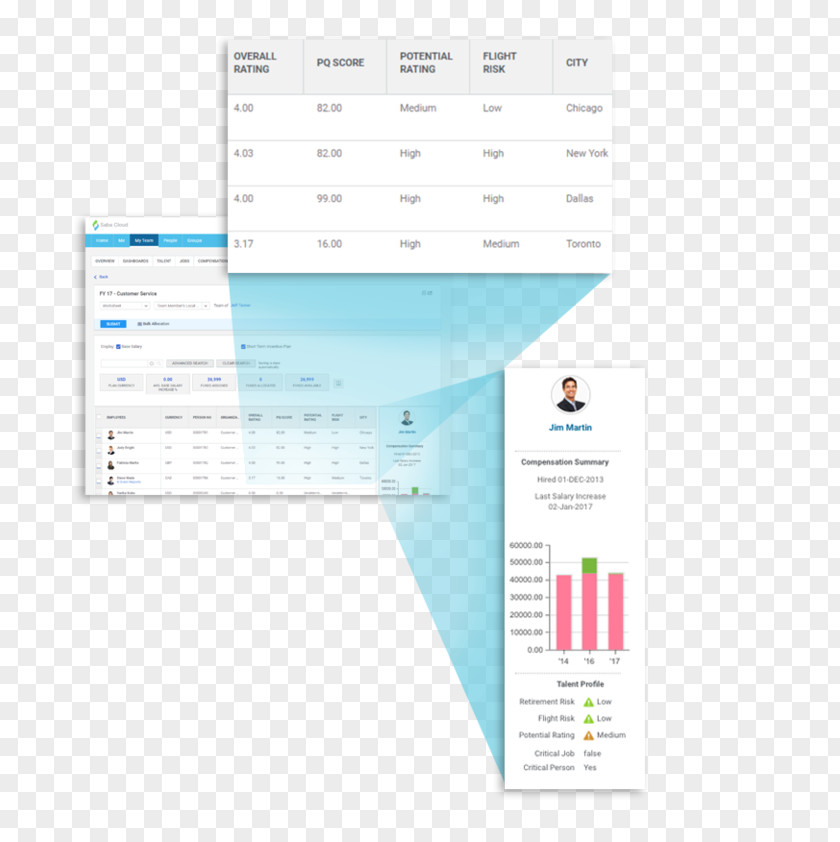 Remuneration Computer Software Saba Management Strategy PNG