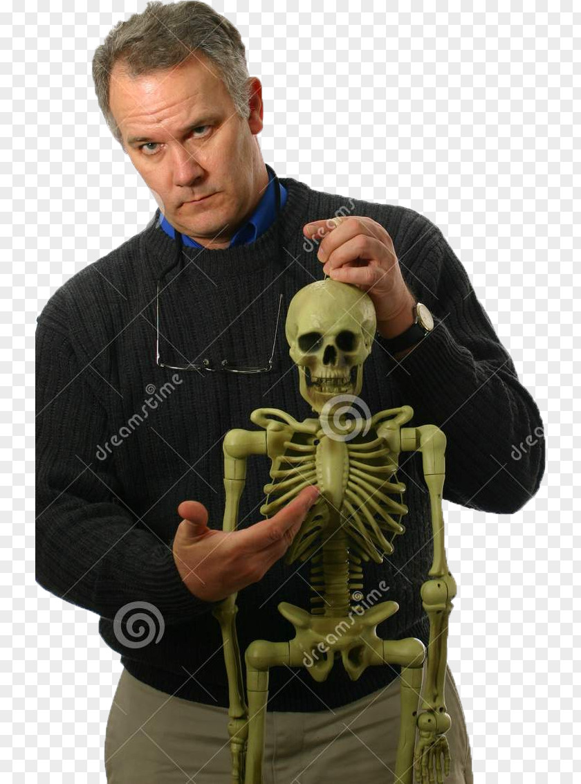 Skeleton Stock Photography Human Bone Anatomy PNG