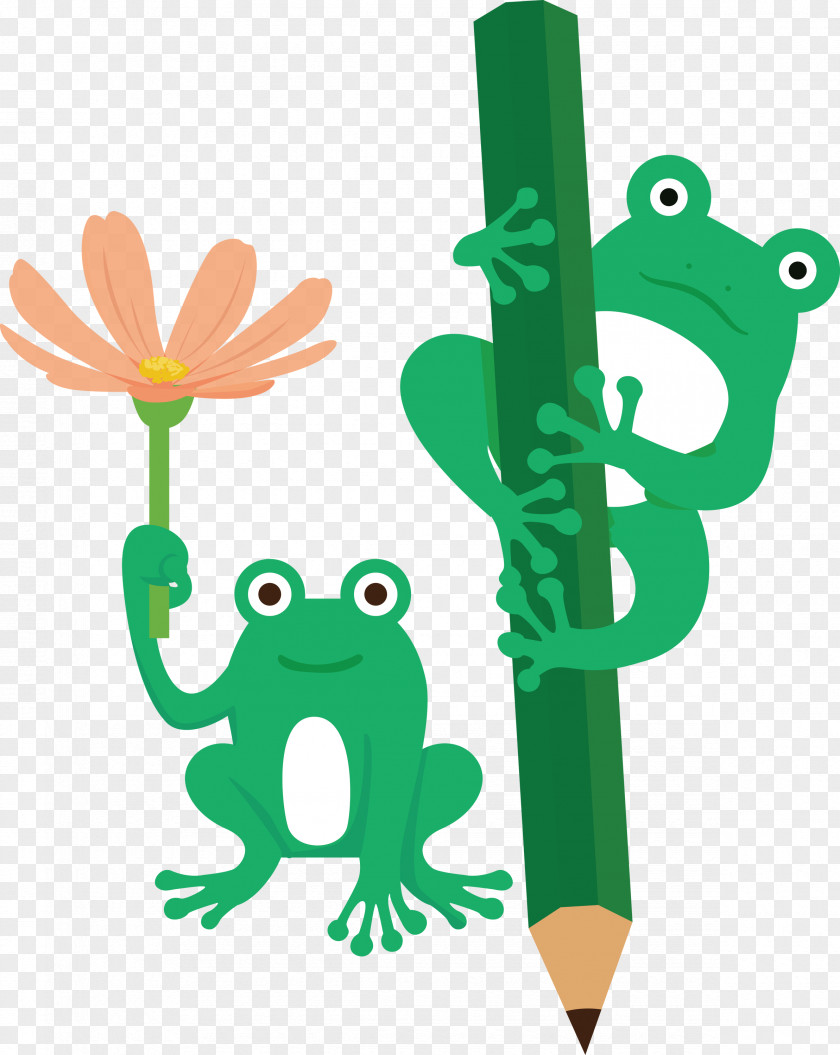 Tree Frog Cartoon Frogs Toad Green PNG