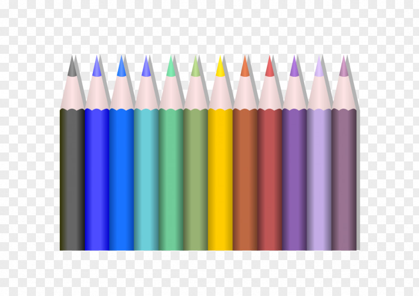 Colour Colored Pencil Drawing Clip Art PNG