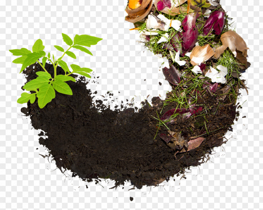 Heap Of Vegetables Compost Biodegradable Waste Food Recycling PNG