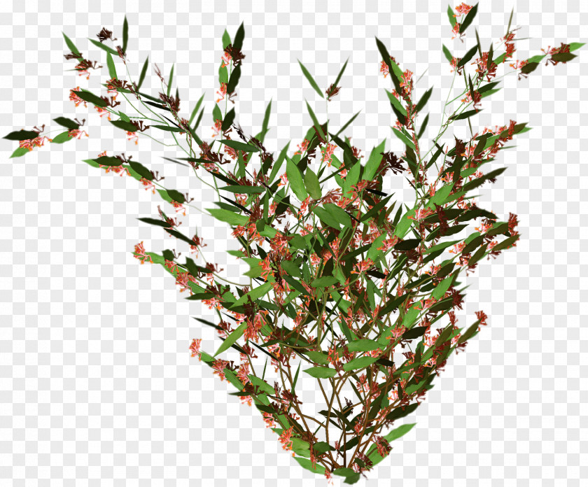 Plant Tree Flower Leaf Clip Art PNG
