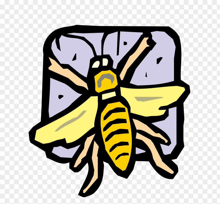 Vector Bee Nest Material Insect Butterfly Clip Art PNG