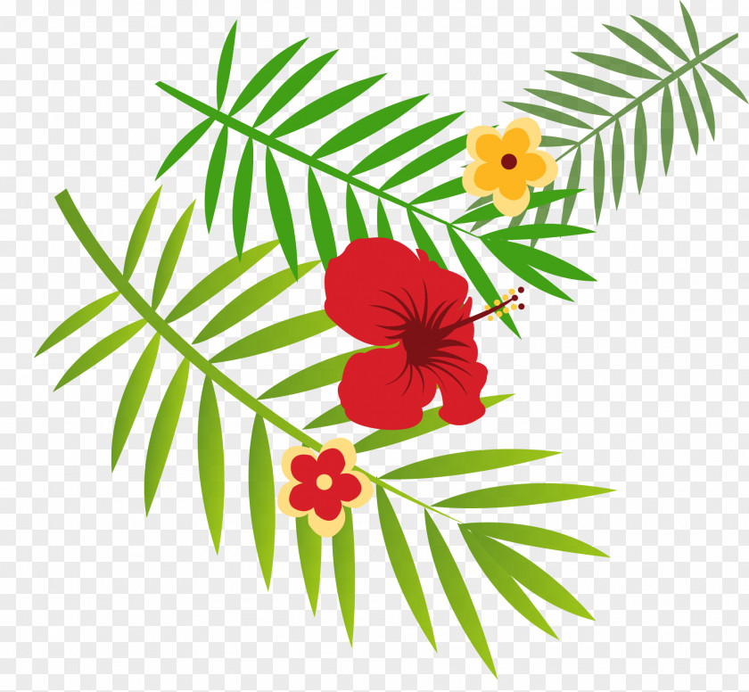 Cartoon Flower Needle Leaf Vector Floral Design Symmetry PNG