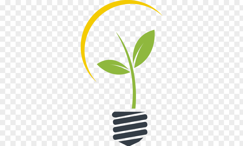 Energie Incandescent Light Bulb Renewable Energy PNG