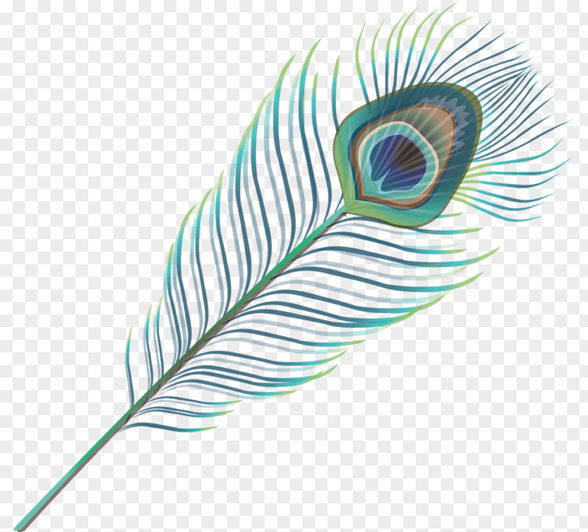 Feathers Feather Wing Google Images Download PNG