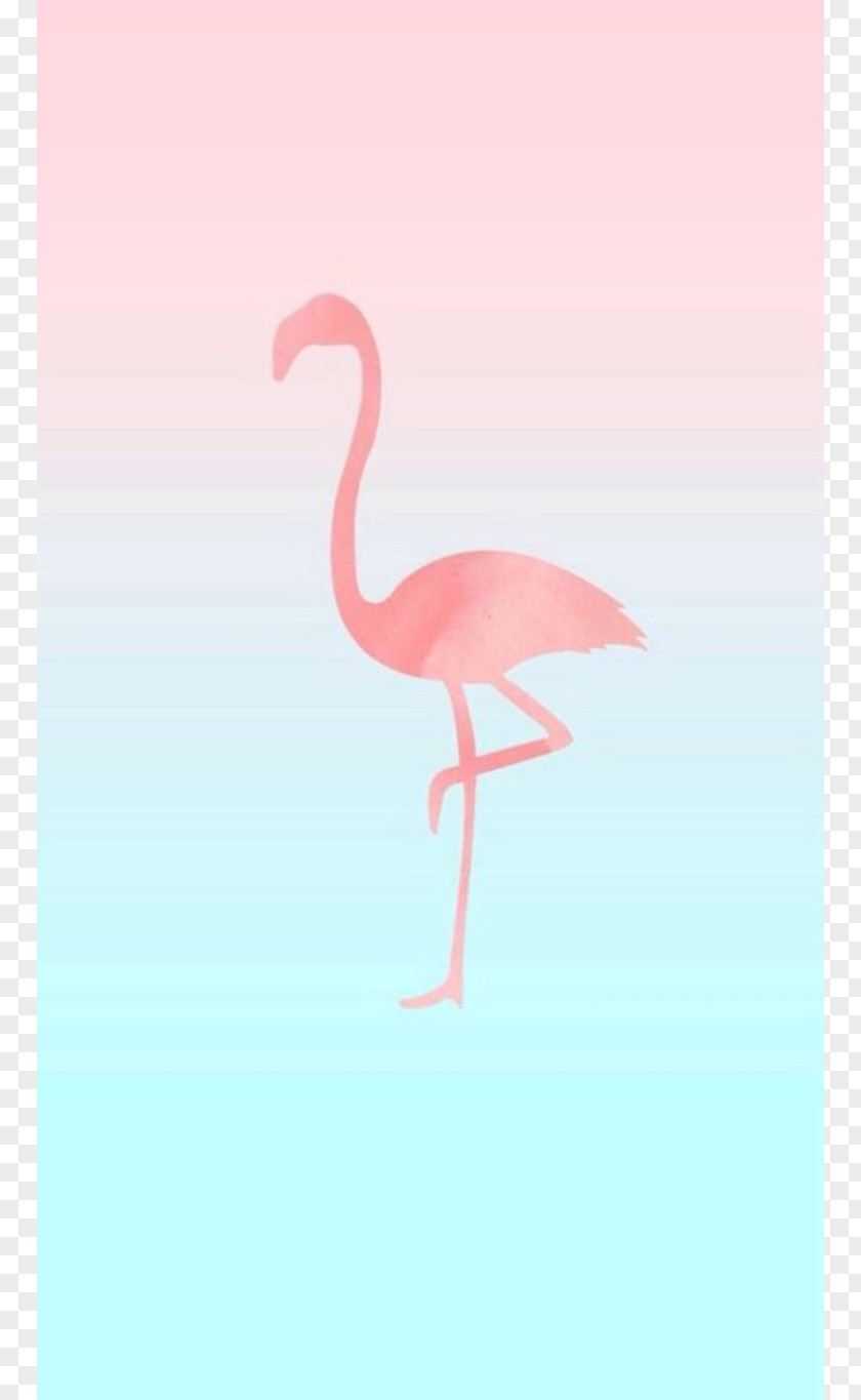 Flamingo IPhone 6 7 Flamingos Desktop Wallpaper PNG