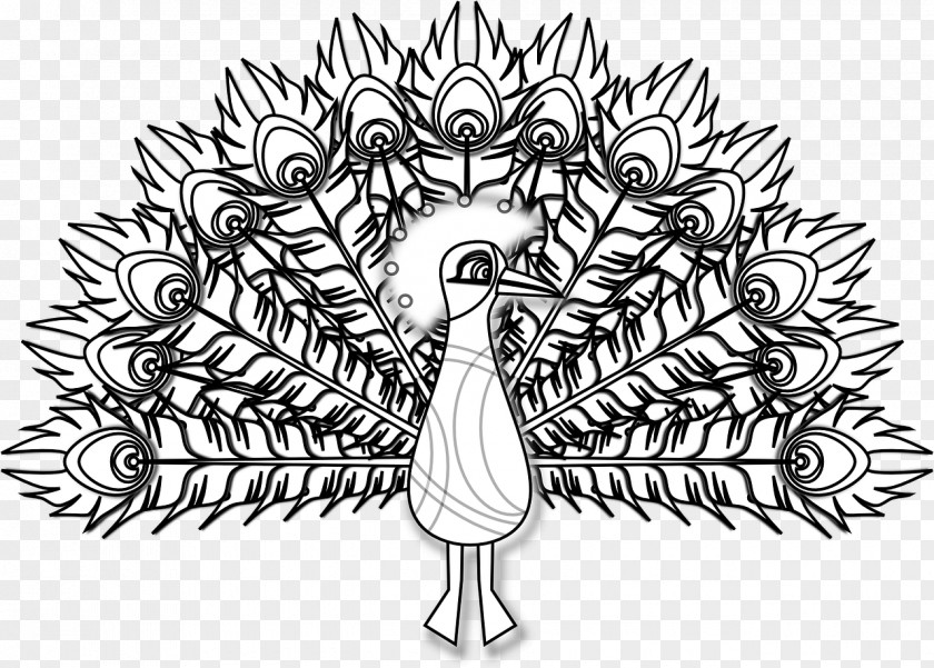 Peacock Bird Black And White Peafowl Line Art PNG